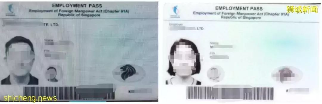 移民新加坡有捷徑？最快20天可火速登陸