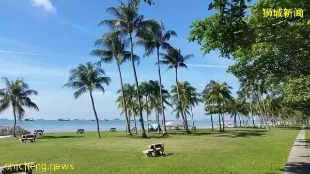 新加坡峰值已过,医院突然再禁探访!李总理发文为这个事情呼吁