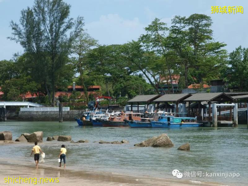 新加坡7天连假来了，全岛12个徒步路线趴趴走