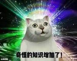 國內朋友以爲我在新加坡的生活 VS 我實際上的生活