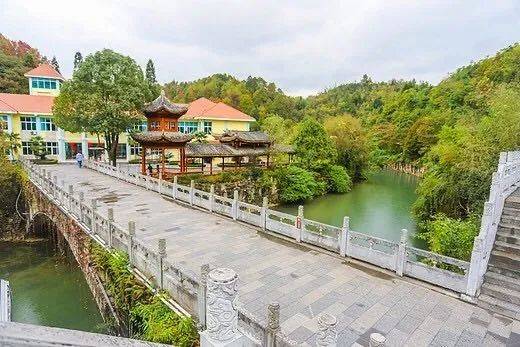 陪讀媽媽帶著女兒只身來到新加坡尋夢，不知最終將如何抉擇