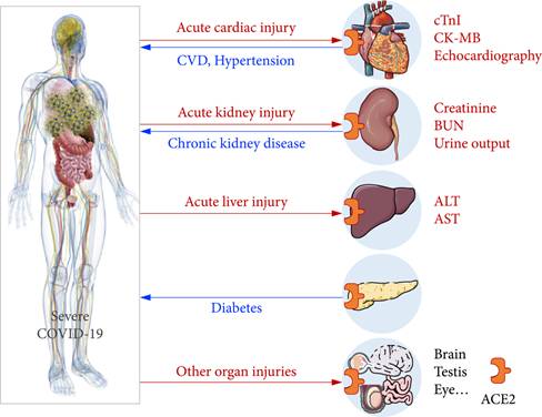 病毒變異，可怕的新冠後遺症徹底爆發！多器官衰竭損傷、肌肉萎縮、嗅覺退化