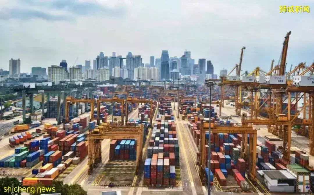 申請多次PR被拒，是該選擇離開？還是繼續留在新加坡