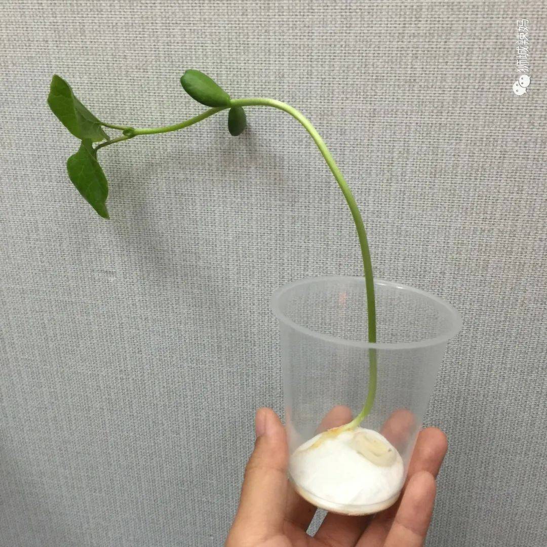 送門票!新加坡科學中心【4月地球日】瘋送禮物,全家嗨翻天