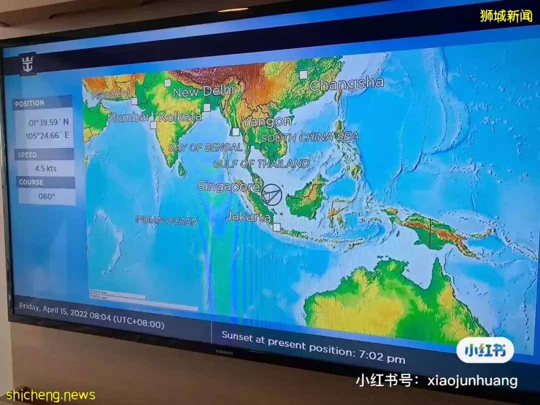 羡慕!一家四口5天4夜坐豪华邮轮免费,攀岩、冲浪、蹦极、跳伞,数不尽的美食和表演