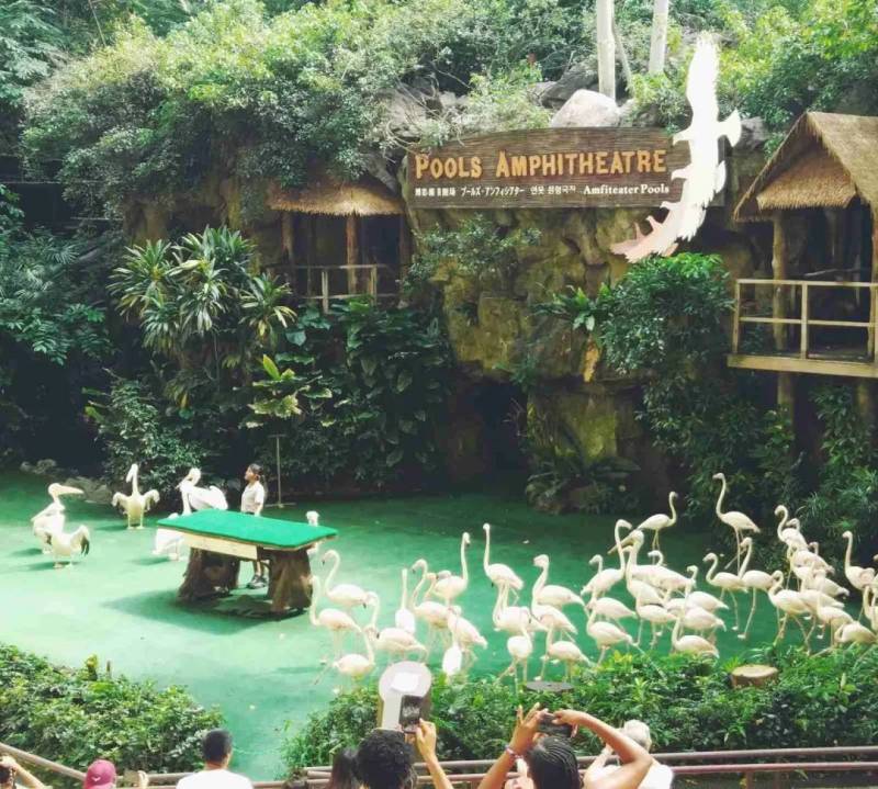 【新加坡景點指南】新加坡15個好玩兒的最受歡迎的景區景點,獨具特色