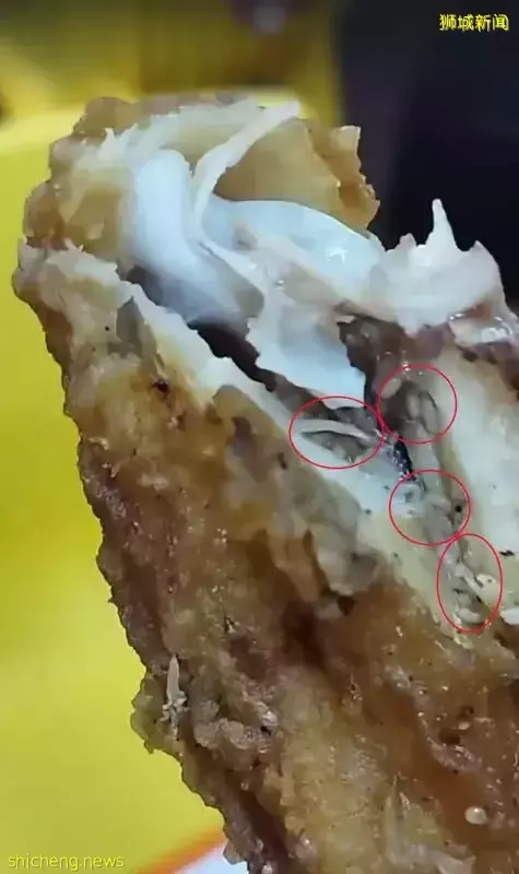 顾客申诉炸鸡翅有蛆 摊贩：或是寄生虫