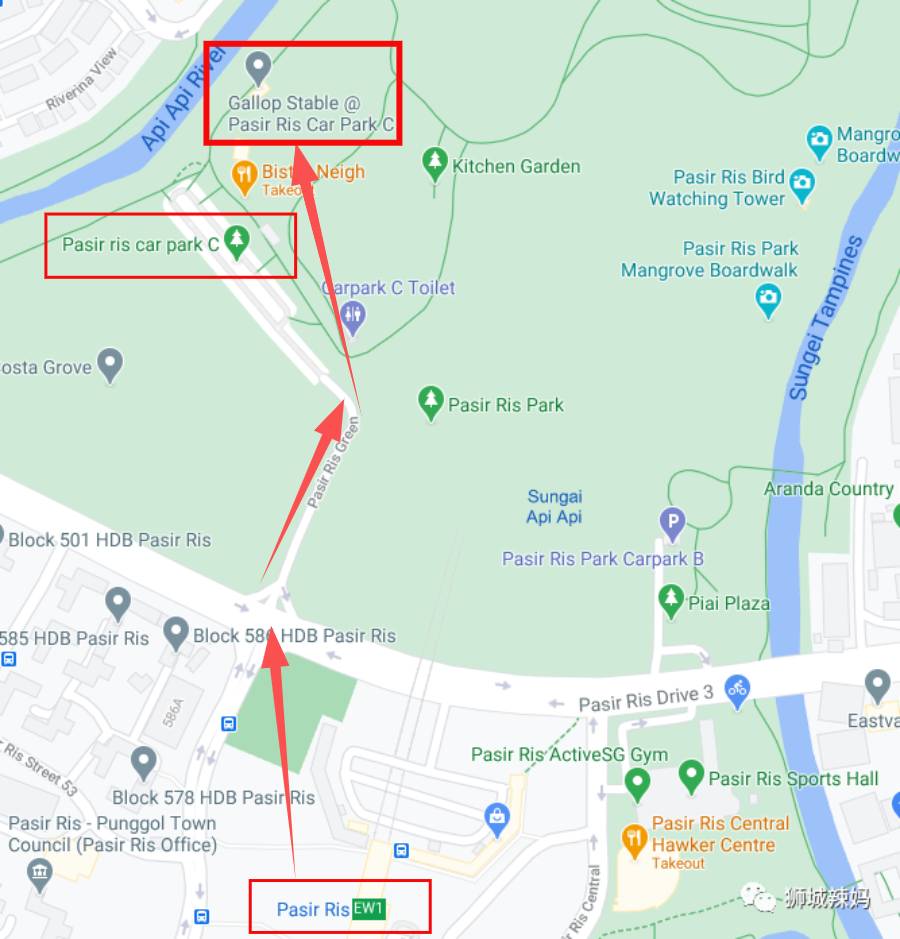 新加坡最好玩的海灘公園!趕海、騎馬、劃艇、樹籬迷宮、燒烤露營,超適合家庭出遊