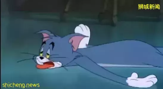 新加坡外卖小哥晒收入,月入8000+新币,一个月31天无休