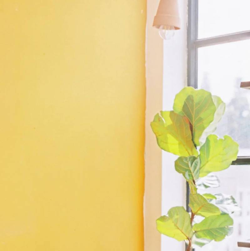 12月新加坡新開網紅店：超人氣日料店、侏羅紀快閃咖啡廳、夢幻北歐冰屋