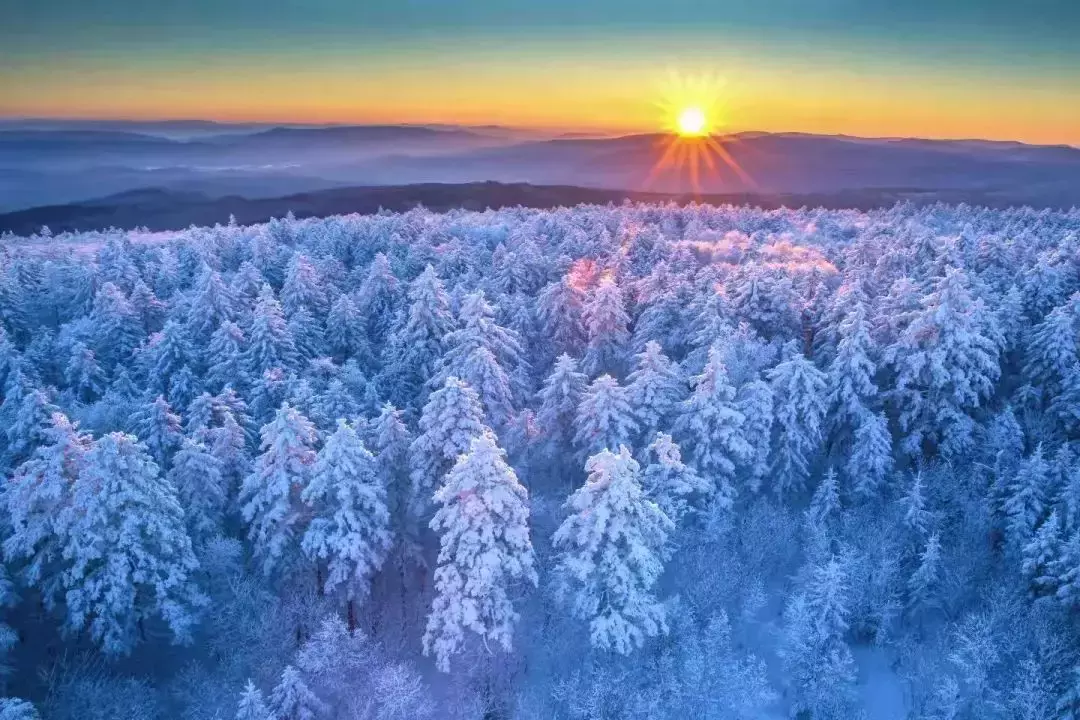 “黑龍江非常冰雪之旅”在新加坡上線