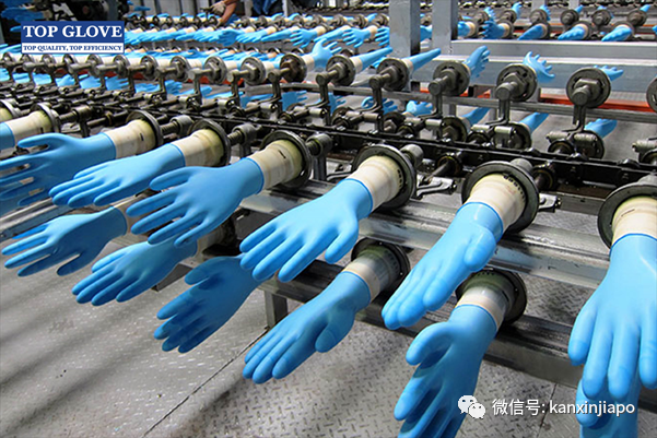 全球最大医用手套企业外劳病例激增，28工厂分阶段停工检测