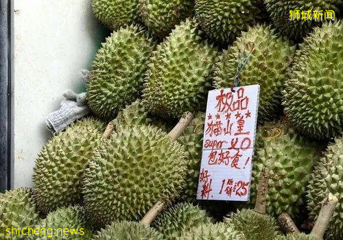 新加坡生活成本太高?一定是你打開的方式不對!