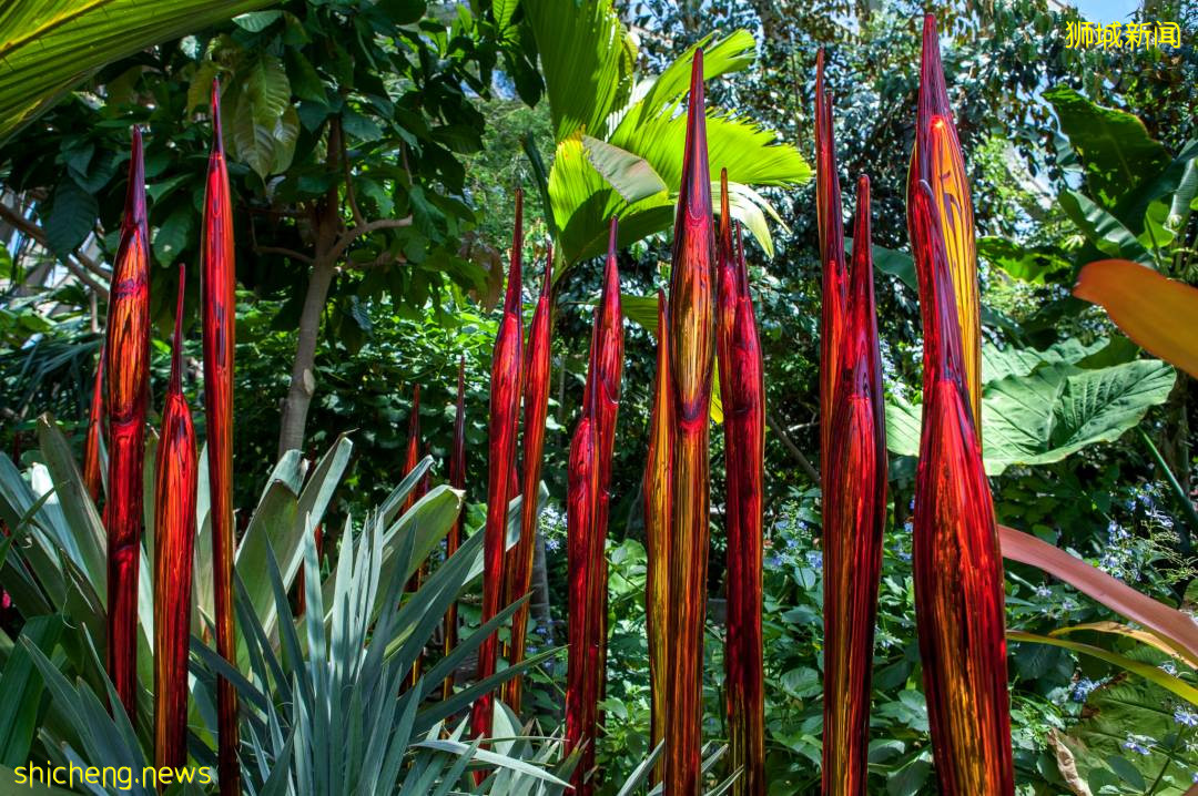 放假去哪玩?亚洲最大玻璃艺术展来新加坡啦