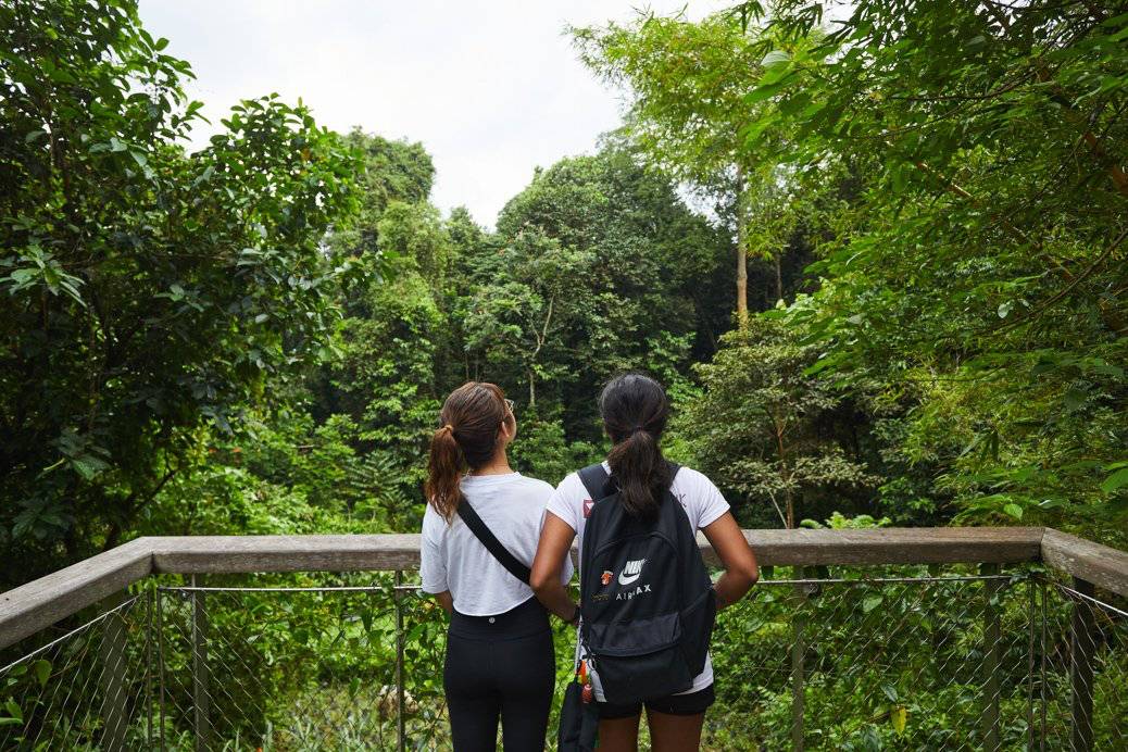 没有奶牛的奶牛公园,藏着100多年历史和700多种甲虫,新加坡宝藏公园推荐