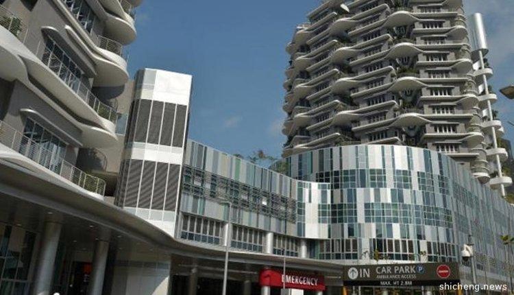 狮城妇游欧染冠病丢命