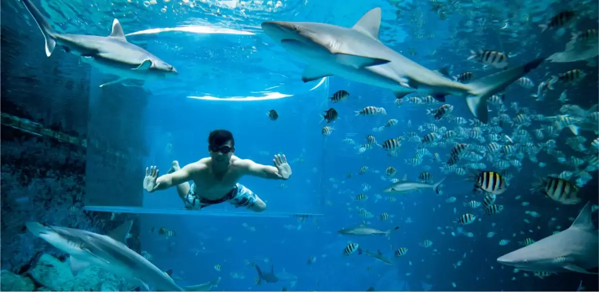 新加坡親子遊景點推薦之：聖淘沙水上探險樂園