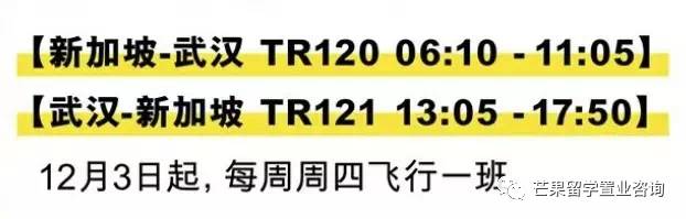 新航恢複重慶航班！從新加坡飛中國有望免隔離，最新回國信息拿好不謝