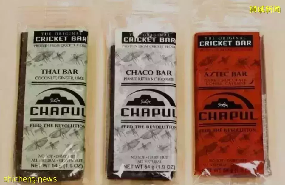 新加坡会鼓励当地人吃虫子吗？理由：本地缺蛋白质