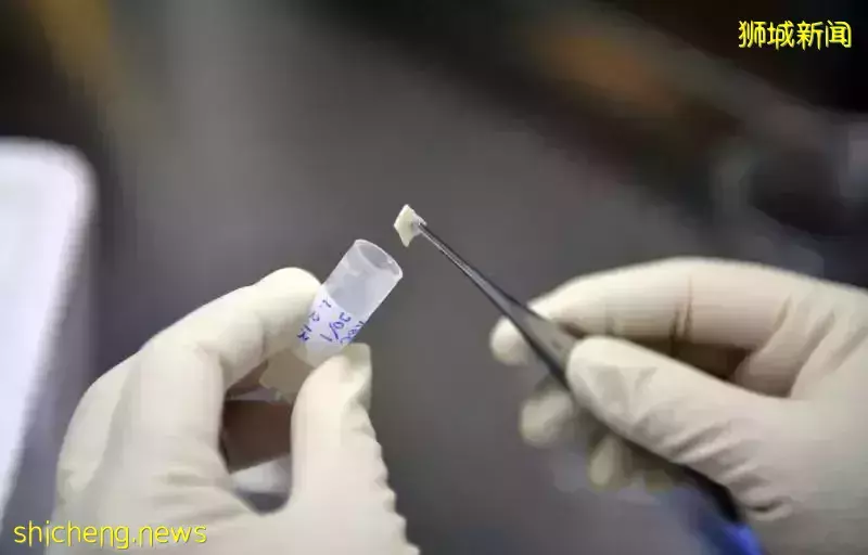 簽個名就能改變世界?在新加坡這辦法真行得通嗎