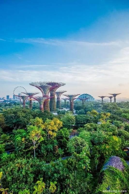 2020旅行计划 | 跟着新加坡滨海湾花园一起 “云春游”