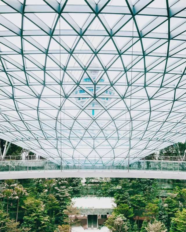 新加坡旅遊終于解禁，出發去北緯1度“心想獅城”