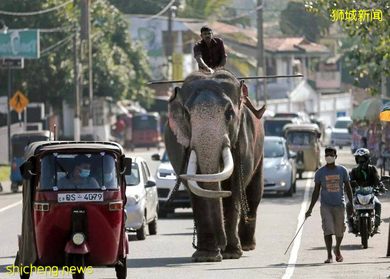 疫情又起,边境收紧!抑郁症状也许正在侵蚀你