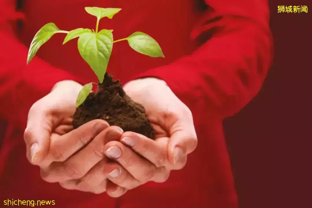 动荡大环境 投资者何去何从