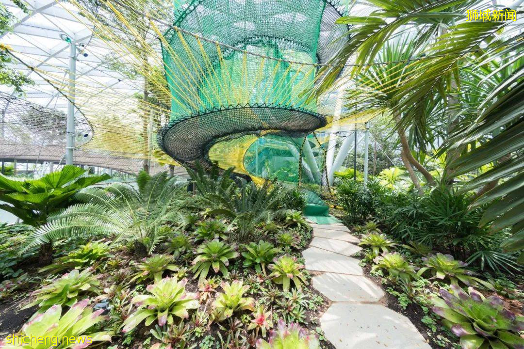 漫步獅城 花園城市體驗生態魅力