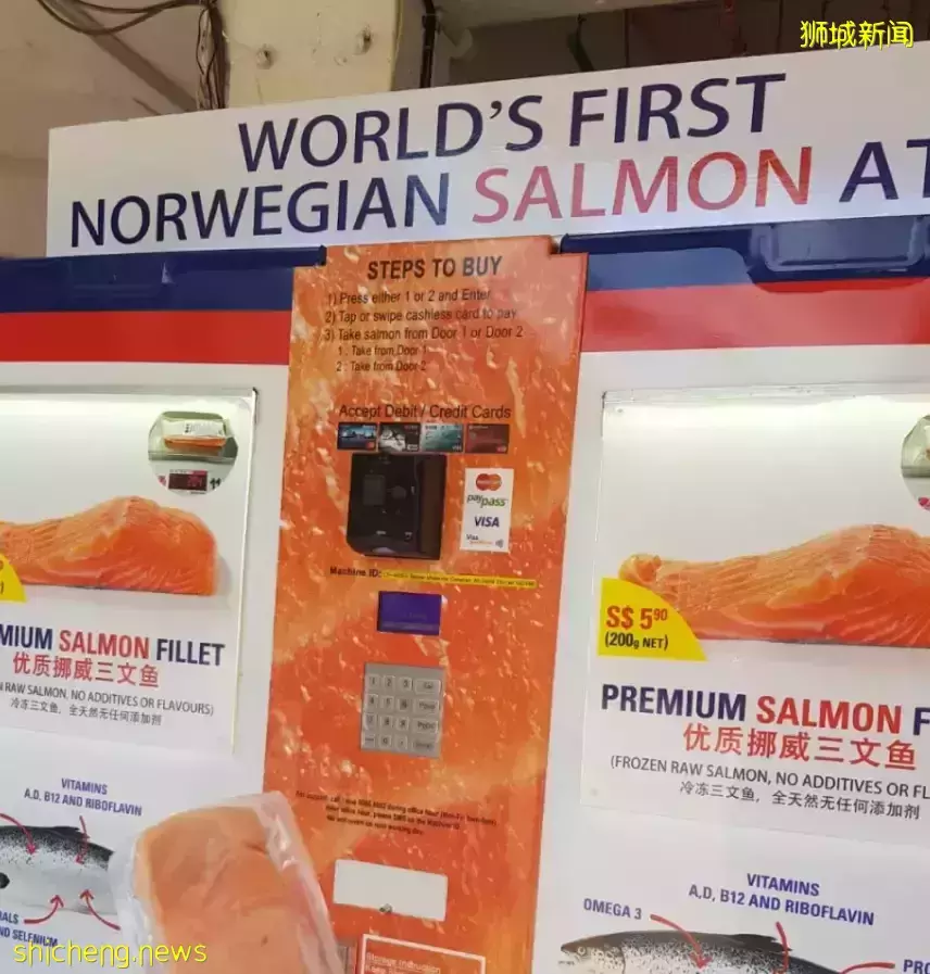 几十张图带你了解别样的新加坡