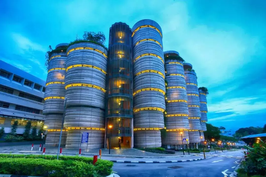 线上分享 看了今年投行咨询录取名单，NTU才是最后赢家