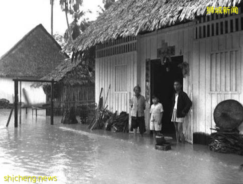 今天,新加坡被大暴雨淹沒了!