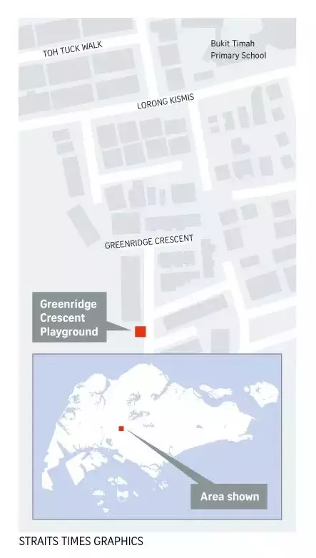 新加坡武吉知马路上段双尸案惊人反转！双胞胎亲生父亲被逮捕