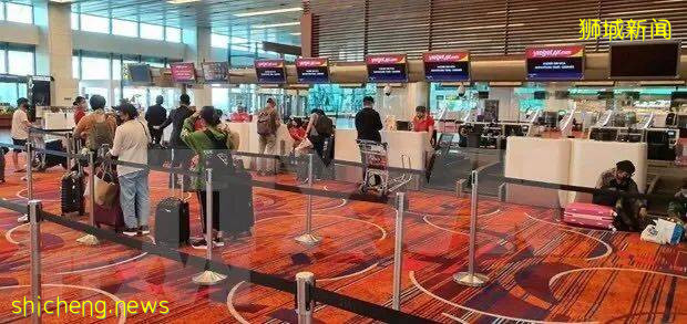 被上司排挤,选择裸辞 我在新加坡送外卖的经历