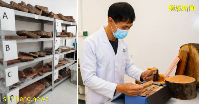 新的 K9 部門借助高科技和探測犬幫助新加坡打擊非法野生動物貿易