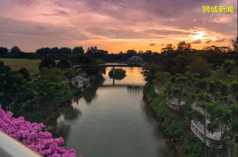 新加坡——全球最美花園城市