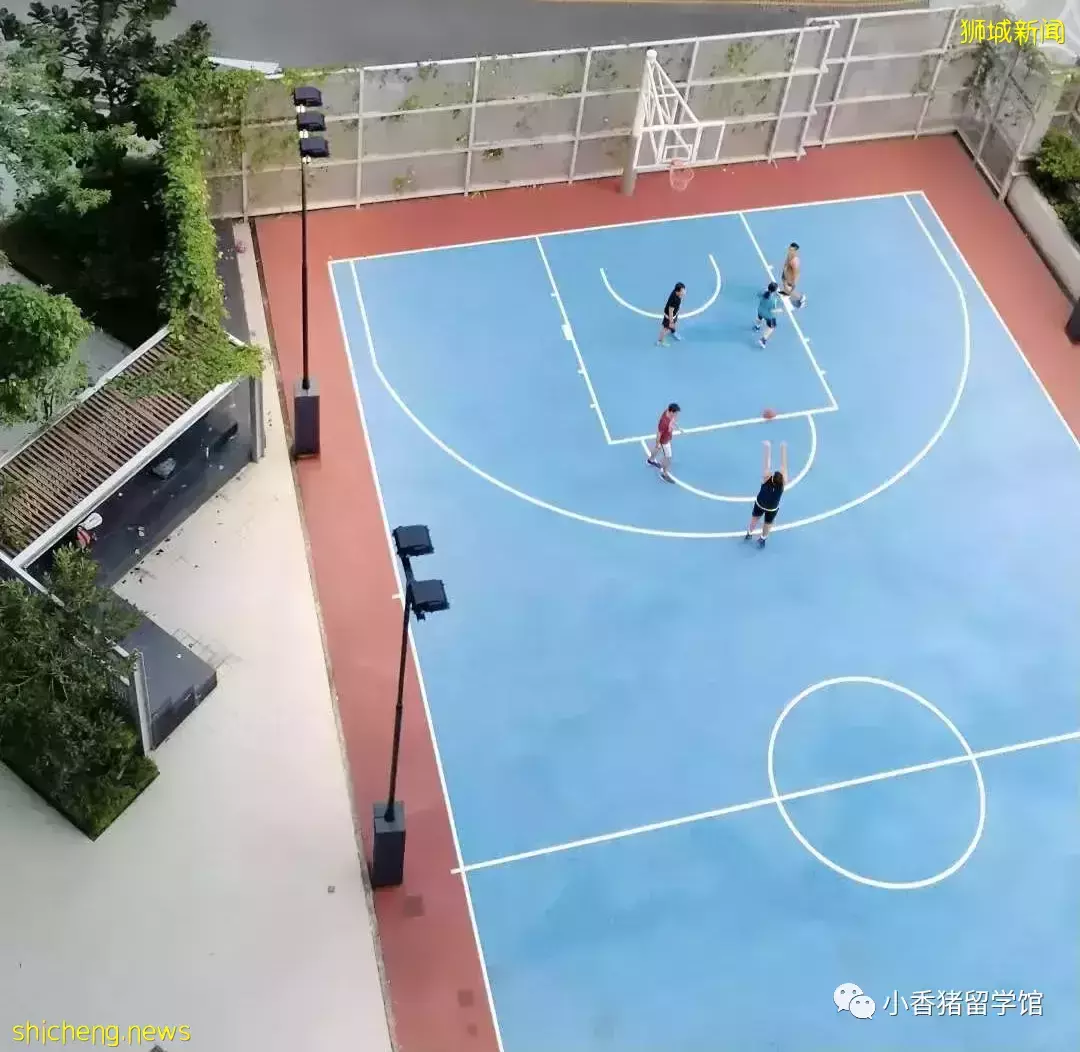 新加坡留學校內住宿：如何get限量版好房