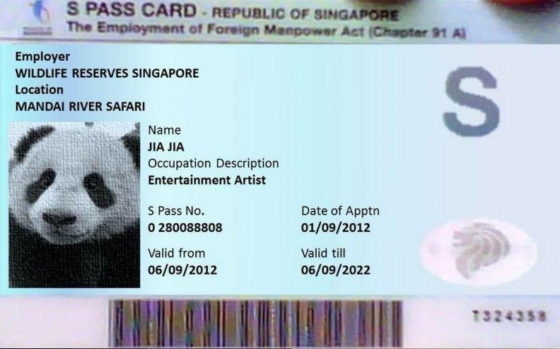 4名员工违反14天缺席假，准证被当场吊销，24小时内遣送回国