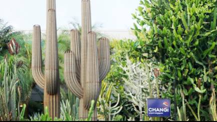 新加坡旅遊局 x ABC Cooking Studio 對這座花園城市狠狠“新”動了