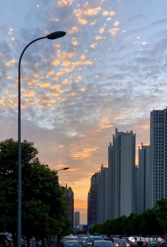 新增23例，從新加坡回國的真實情況令你震驚！全流程細節曝光