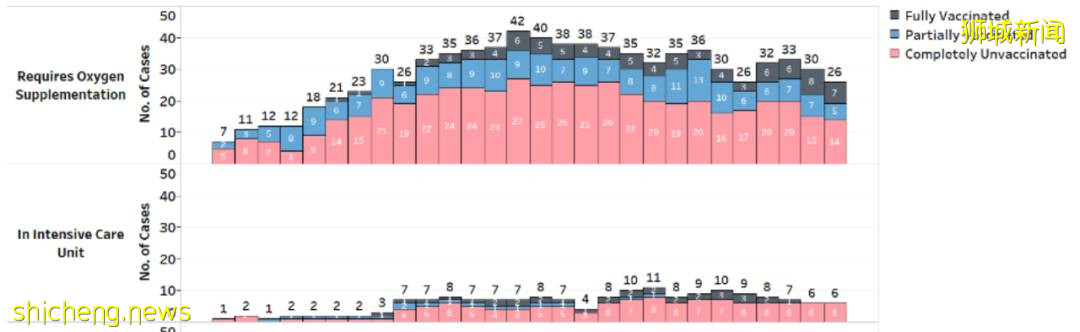 8月新加坡平均2天1例新冠死亡!打疫苗還有意義嗎