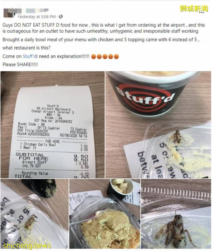 惊!“我在樟宜机场的这个餐厅打包,竟然吃出一只蟑螂!”