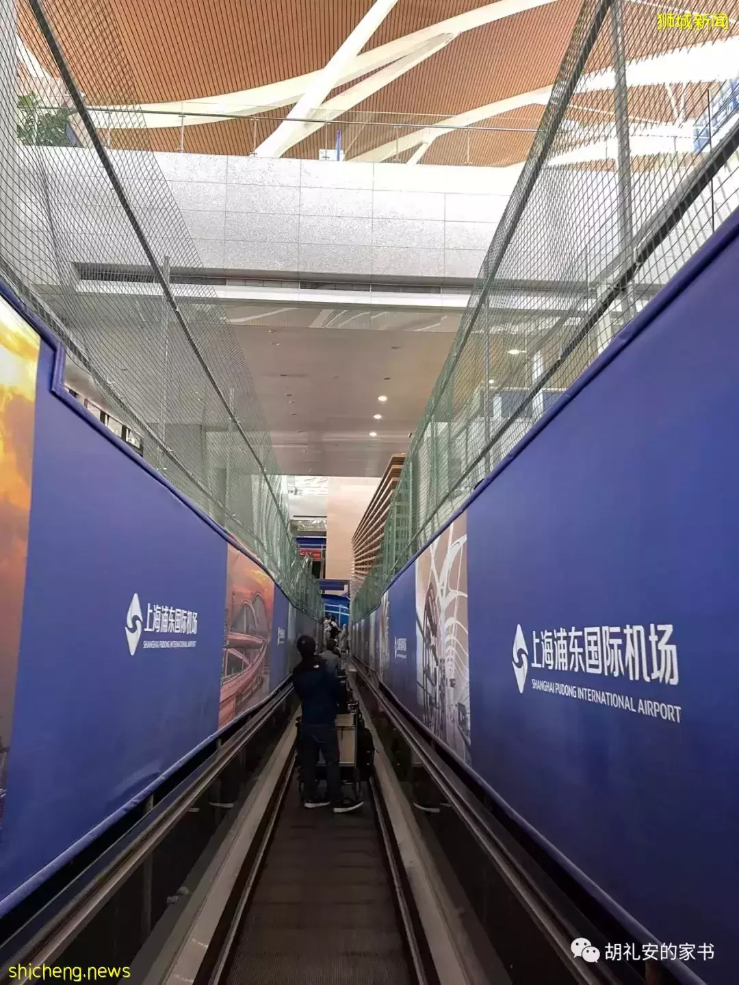 全過程記錄!4月4日從新加坡飛往封城中的上海,入境隔離多圖