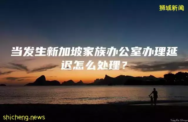 当发生新加坡家族办公室办理延迟怎么处理