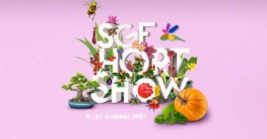 新加坡公园局又派发种子啦!已开放申请!还有教程教你怎么种