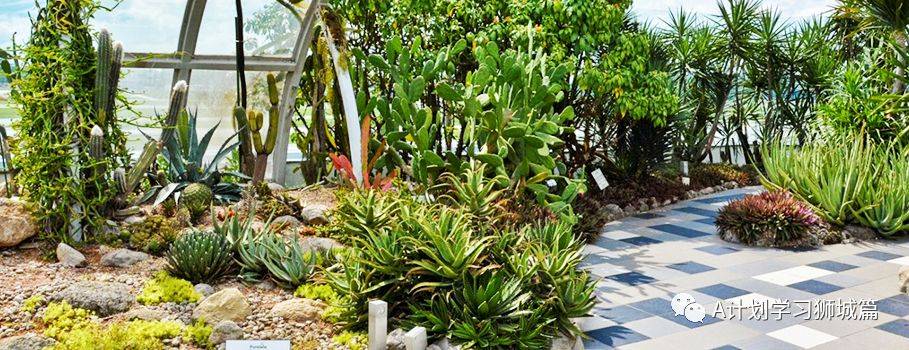 新加坡樟宜機場全方位解讀