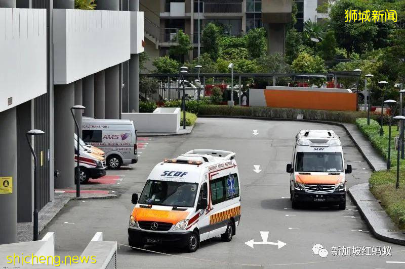 新加坡解封进度不会走回头路 也不会一夜间“大解放”