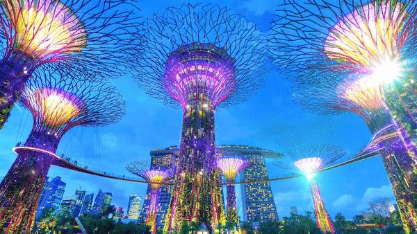 【周末去哪玩？】晝夜璀璨藝術節、海底春意濃、牛牛派對、大麗花之夢等等好玩等你來