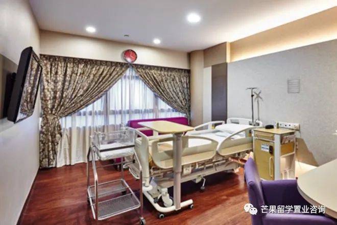 新加坡醫療之政府醫院