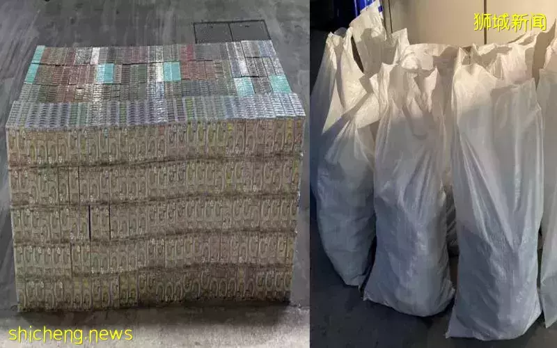 罗厘搜出电子烟烟弹和嚼烟